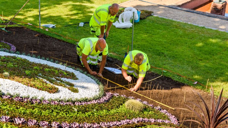 Wildflower Landscaping