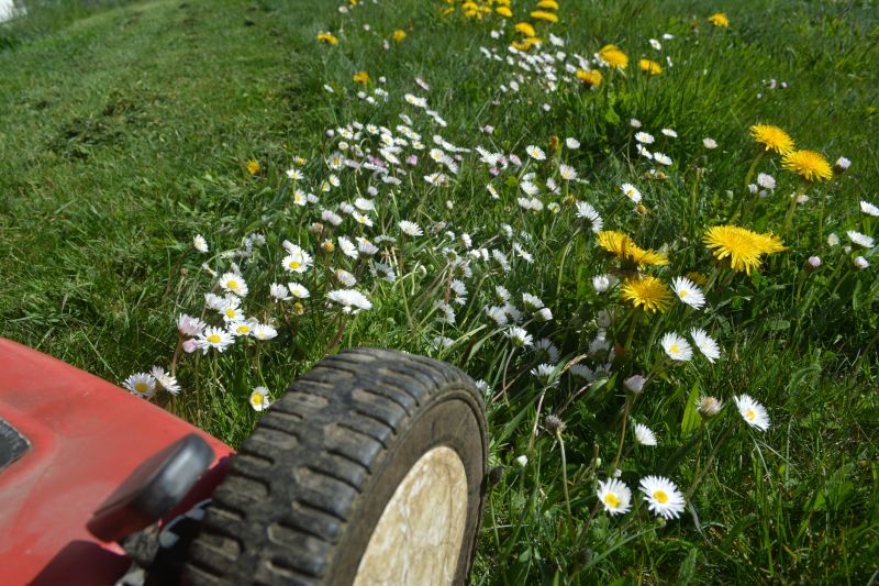 Wildflower Landscaping