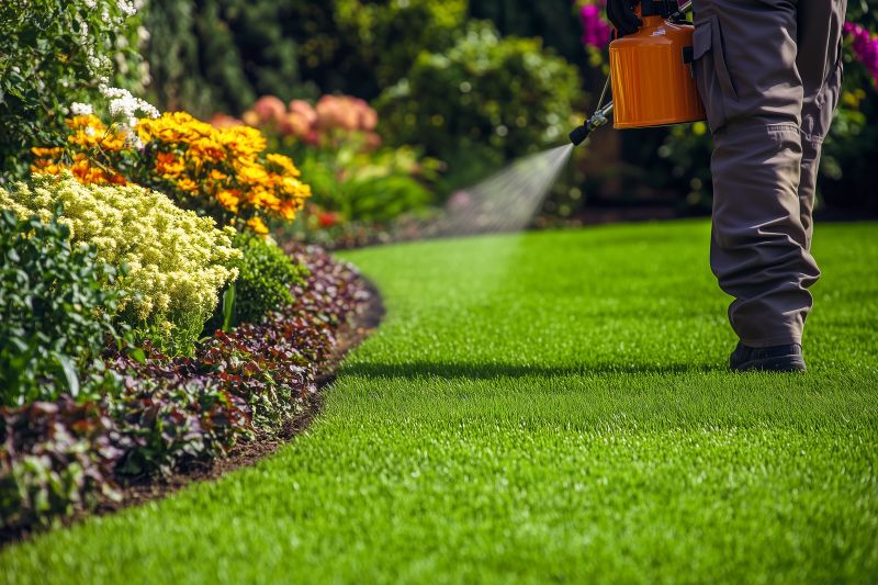 Lawn Landscaping