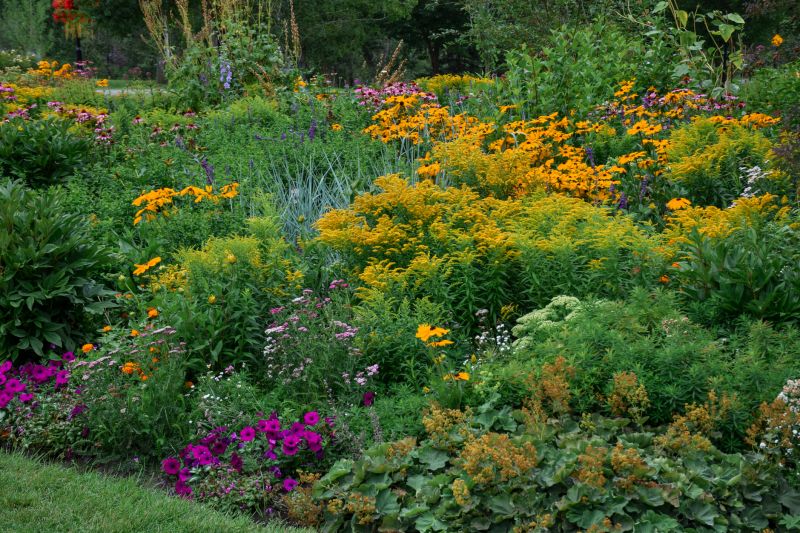 Wildflower Landscaping